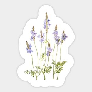 purple fernleaf lavender watercolor Sticker